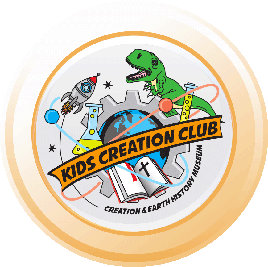 i KidsCreationClubB